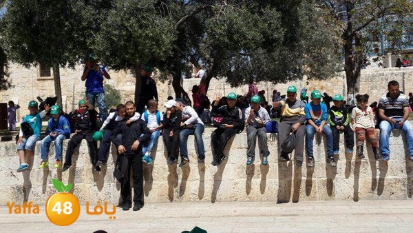 aqsa mahrajan 12 (36).jpg